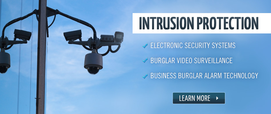 IP security Cameras